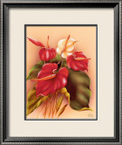 Red and White Anthuriums Prints by Frank Oda