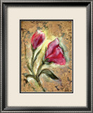 Poppy Framed Giclee Print by Marcella Rose