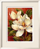 Summer Bloom II Art by Barbara Mock