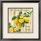 Mon Beau Citronnier Prints by Noel Romero