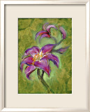 Lily Framed Giclee Print by Marcella Rose