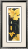 Time of Flowering I Prints by C. Meredith
