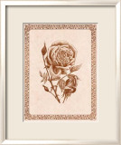 Sepia Rose I Prints by Samuel Kay