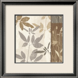 Flowers and Ferns II Posters by Klein Design