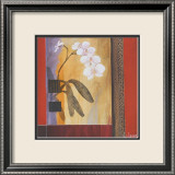 Orchid Lines I Affiches par Don Li-Leger