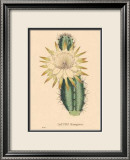 Hexagonus Poster par C. Van Geel