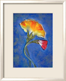 Carnation Framed Giclee Print by Marcella Rose