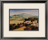 Champs de Provence II Affiches par Max Hayslette