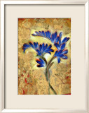 Fresia Framed Giclee Print by Marcella Rose
