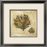 Hornwrack Láminas por Jillian David