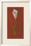 White Cala Lily Poster par Jose Gomez