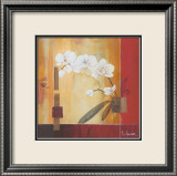 Orchid Lines II Pósters por Don Li-Leger Orchid Lines II Pósters por Don Li-Leger