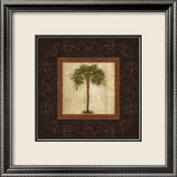 Mediterranean Palm Affiche par Keith Mallett