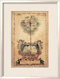 Palmera del paraíso Láminas por Elizabeth Jardine Palmera del paraíso Láminas por Elizabeth Jardine