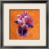 Un Amour d'Iris Art by Anne Frémin Besombes