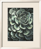 Lunar Succulent II Póster por Megan Meagher