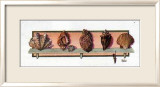 Collection of Shells II Art by Peggy Jo Ackley