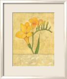 Freesias Posters par Stephanie Marrott