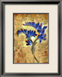 Fresia Framed Giclee Print by Marcella Rose