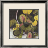 Figs II Poster von Silvia Rutledge
