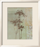 Silver Foliage II Affiches par Ella K.