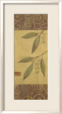 Eucalyptus Leaves II Plakater av Gayle Bighouse Eucalyptus Leaves II Plakater av Gayle Bighouse
