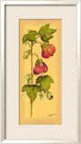 Flores Colgantes I Prints by L. Romero