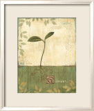 Grow and Bloom I Lámina por Veronique Grow and Bloom I Lámina por Veronique