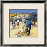 La Cueillette des Olives Prints by Andre Deymonaz