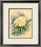 Cereus blanc au clair de lune Estampe encadrée par Ted Mundorff