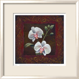 Orchid Study II Poster tekijänä Thomas Wood Orchid Study II Poster tekijänä Thomas Wood