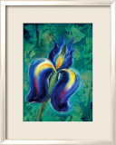 Iris II Framed Giclee Print by Marcella Rose