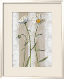 Daisies Posters by Valerie Roy