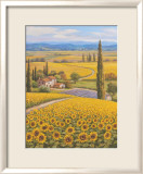 Sunflower Field Lámina por Sung Kim