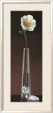 Anemone Haiku Print by Yuki Ross