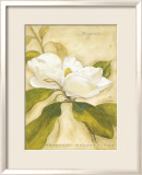 Magnolia Láminas por Meg Page