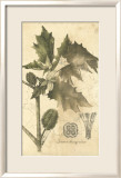 Botanica I Kunstdrucke von Ludwig Van Houtte