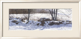 Rangée de pierres Poster par Ray Hendershot