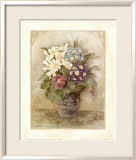 Auriculas I Affiches par Charlene Winter Olson