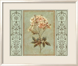 Heritage Roses I Póster por Sarah Elizabeth Chilton Heritage Roses I Póster por Sarah Elizabeth Chilton