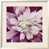 Pink Dahlia Posters by Beth Winslow