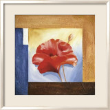 Passionate Poppies I Láminas por Alfred Gockel