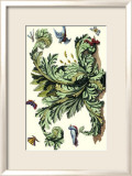 Acanthe avec des oiseaux Posters par Michelangelo Pergolesi