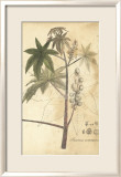 Botanica II Kunstdrucke von Ludwig Van Houtte