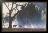 Yosemite Dawn Prints by Terry Isaac