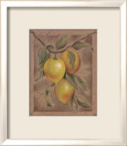 Citron Fructus Pósters por Constance Lael