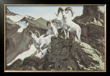 Dall Sheep Arte por Ron Van Gilder