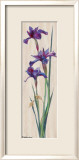Iris Panel II Posters par Ruth Baderian