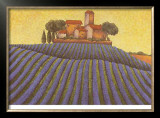 The Colours of Provence III Prints by M. Picard