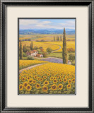 Sunflower Field Pósters por Sung Kim